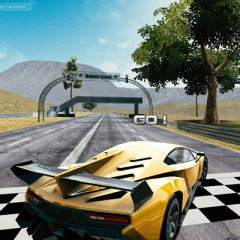 Cars Driver