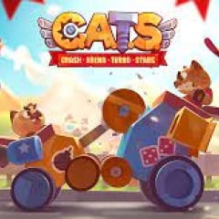 Cat Car