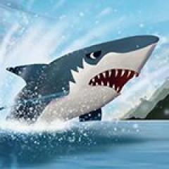My Shark Show