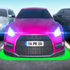 Parking Ace 3D
